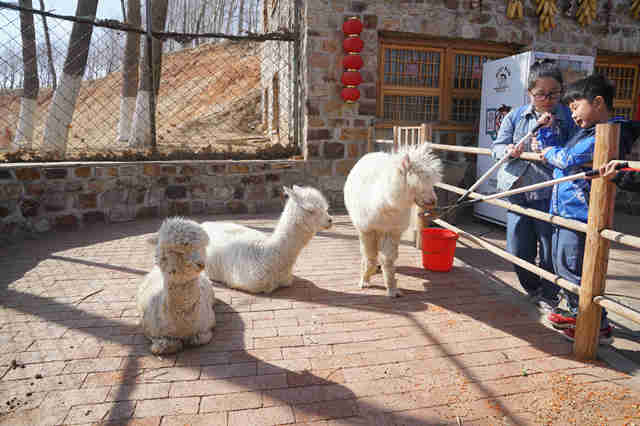 春暖花开，万物可爱，葫芦岛葫芦古镇带你感触春天的到来！